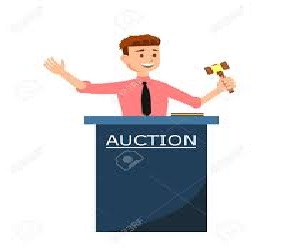 auction of plots