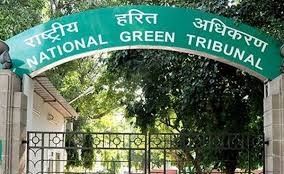 NGT directs Jindal Steel to pay Rs 20 lakh each to kin of workers