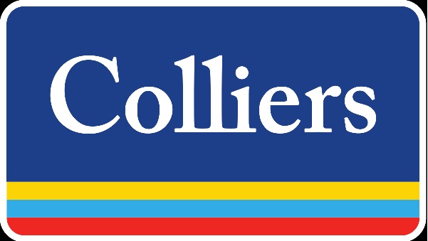 Colliers appoints Ruchika Choudaha as Senior Director and Head in Pune