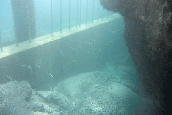 underwater concreting methods