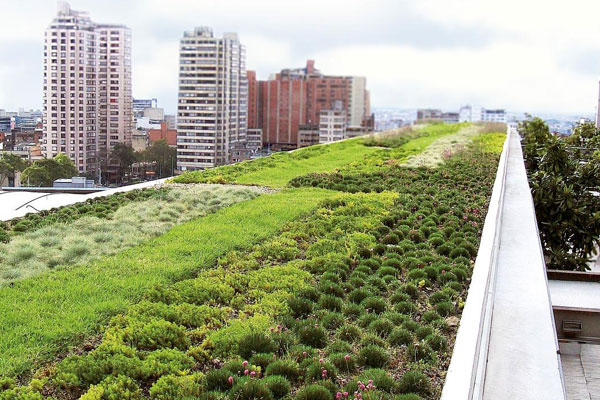 Green-Roof