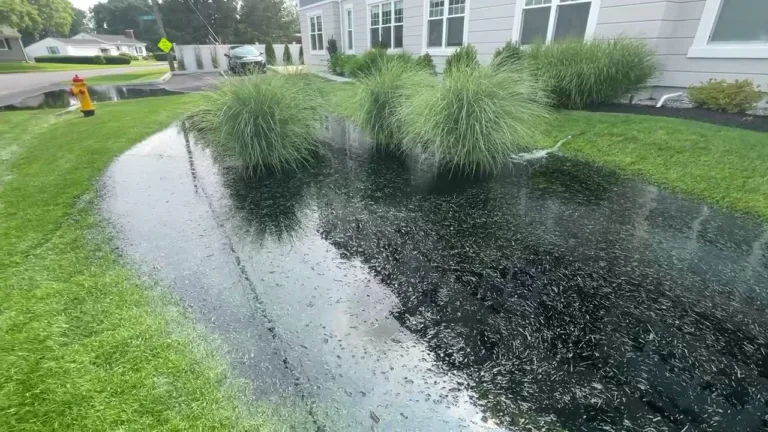 Effectives Solutions to Improve Poor Yard Drainage