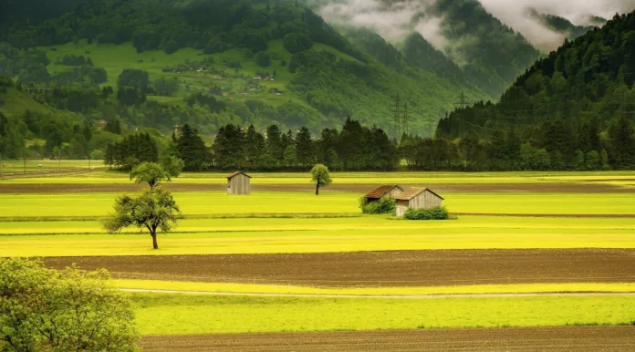 Unveiling 7 Key Factors for Effective Land Assessments Plot Allotment