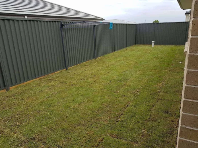colorbond fencing