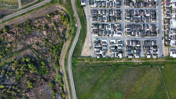 Chintamanis Group Launches North Avenue