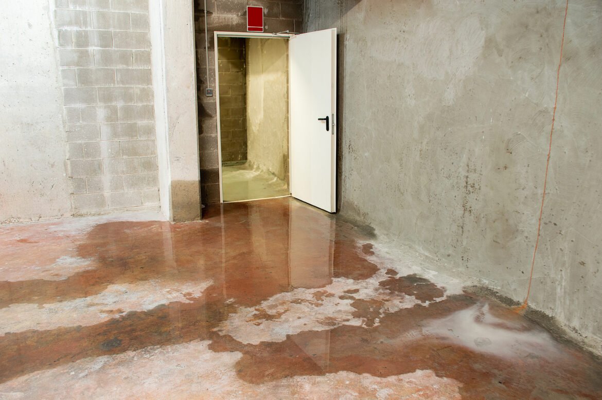 Why Poor Drainage Is One of the Top Causes of Basement Moisture