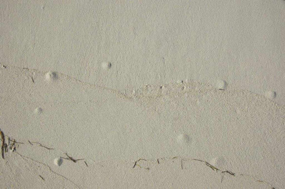 Blistering of concrete surface