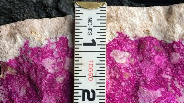 Carbonation Depth