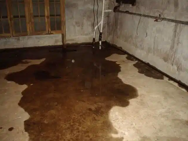 Basement Seepage