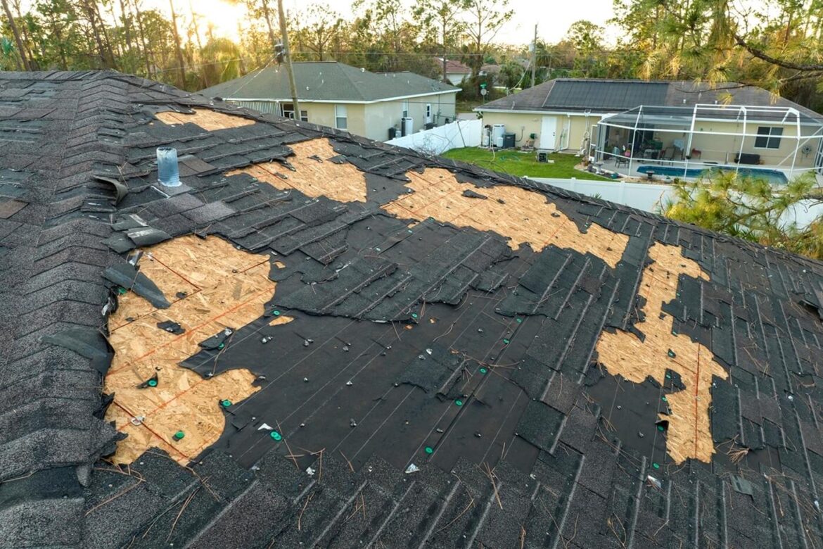 Roof