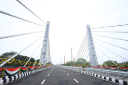 Ahmedabad Gets Gujarat's First Urban Cable-Stayed Bridge